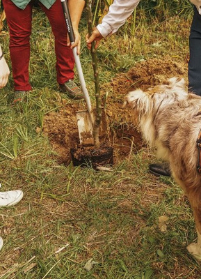 KI generiert: Menschen pflanzen gemeinsam einen kleinen Baum; ein Hund beobachtet.