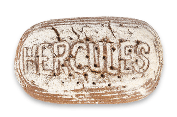 Produktfoto zu Roggenbrot 100% Hercules 1 kg