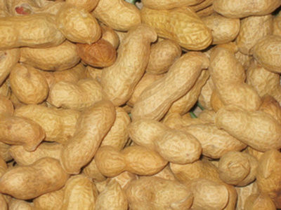 Produktfoto zu Erdnüsse mit Schale