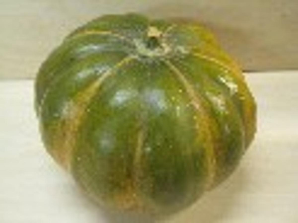 Produktfoto zu Kürbis Muskat, mindestens 1 kg bestellen!! lecker roh! Im Ganzen 3-5 kg