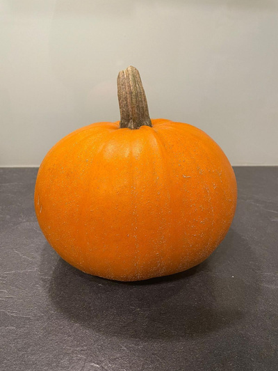 Produktfoto zu Kürbis Halloween Jack O´Lantern, ca. 5,5 kg, essbar